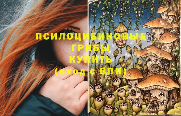 герыч Аркадак